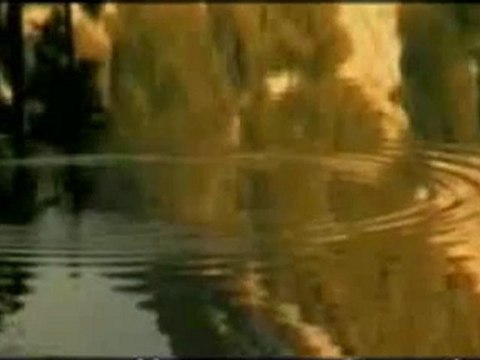 Dursun Ali Erzincanlı - Delail'in Nur