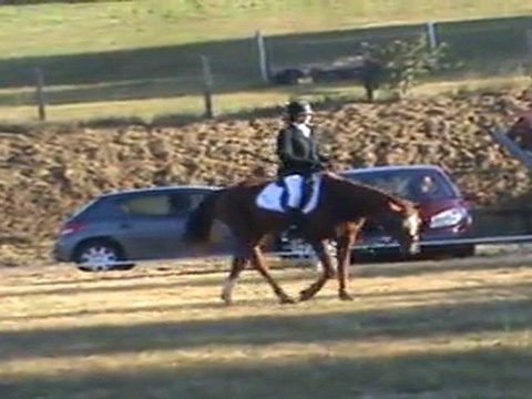 vidéo cce felletin 002