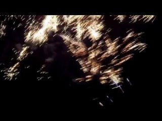 AUSTRALIAN DOUDOU DREAM 6E PARTIES