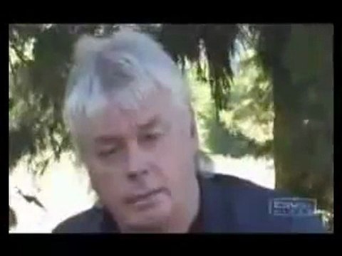 Electromagnetic fields, “waves predict the future”