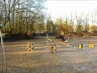 27 decembre (4) Reprise Poney