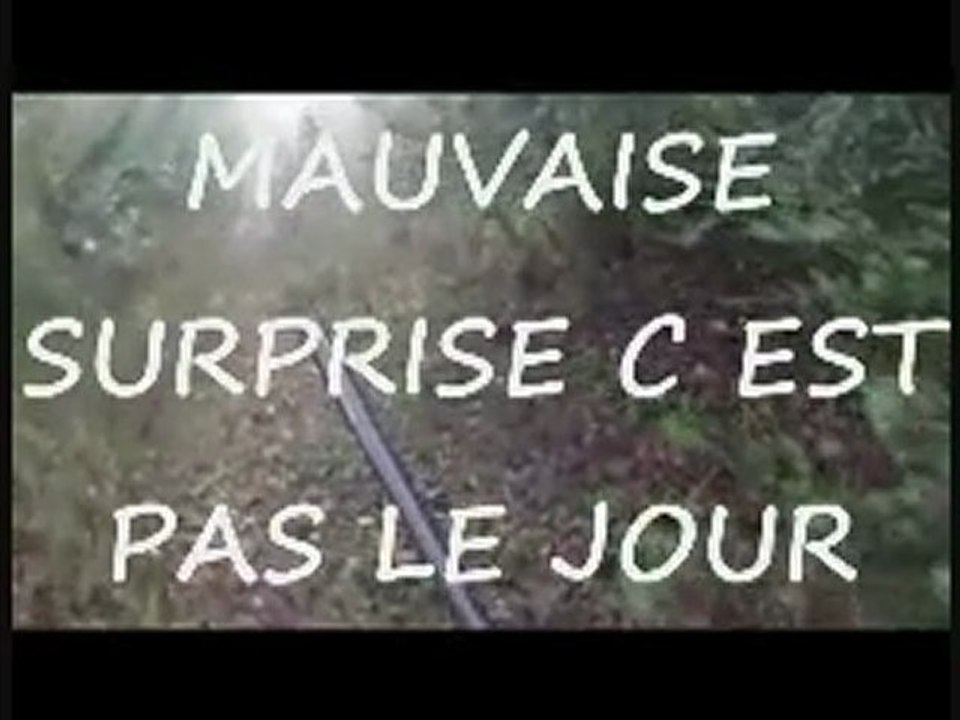 CHASSE A LA BECASSE DU 26.12.2011