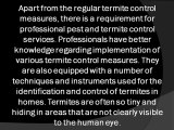 Regular Termite Inspections Keep Your House Free from Pests