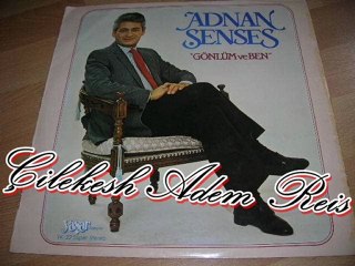 Adnan Şenses - Sevmek Yok