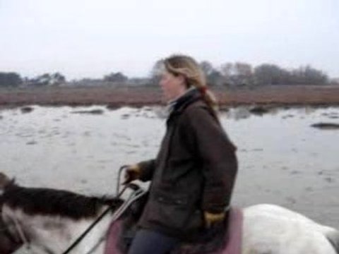PROMENADE à CHEVAL