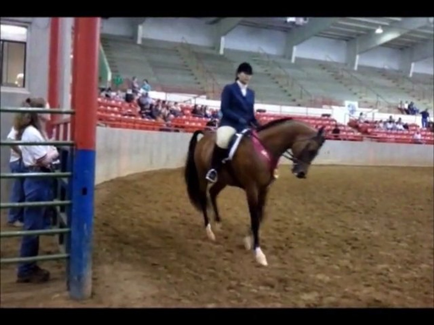 ⁣2011 Alabama Arabian Show