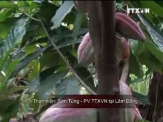 Nhịp đập thị trường 23.12.2011 TRUYỀN HÌNH THÔNG TẤN, TTXVN