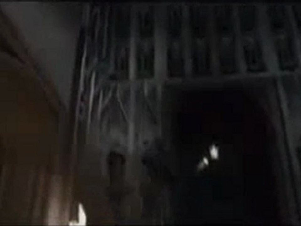 Harry Potter and the Deathly Hallows Pt 2 Professor McGonagall and the Protectors