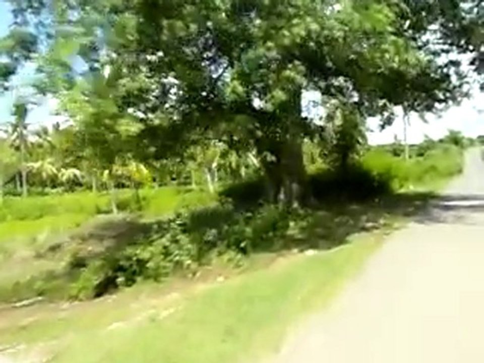 scoot 1