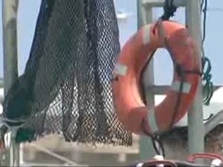 King BP Hardcore Gulf Fisherman Diseased Afraid To Speak Out - NO FISH OR FISHERS