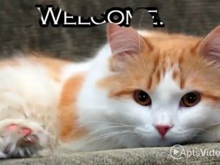 Wesley Park Apartments in Norcross, GA - ForRent.com