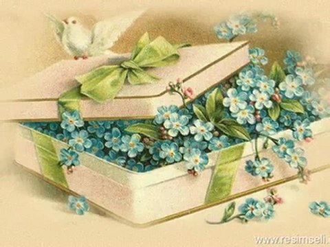 GULLU- CANANIM YAR GULUM YAR