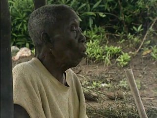 Mans Unides - Sembrando Chocolate