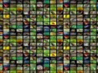 Scientists discover life built with toxic chemical