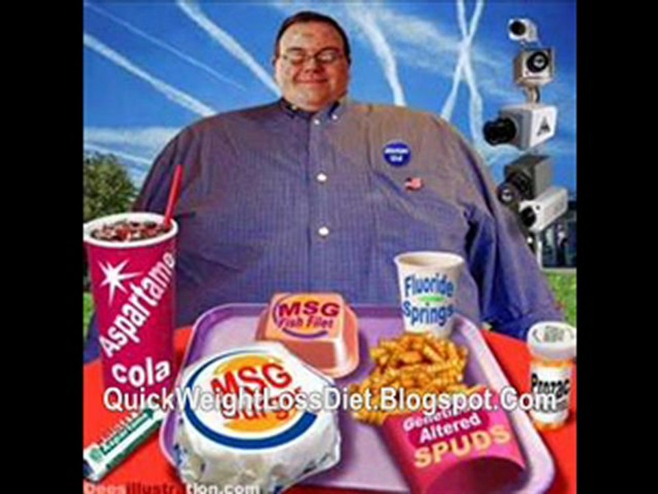 diet solution program burn fat