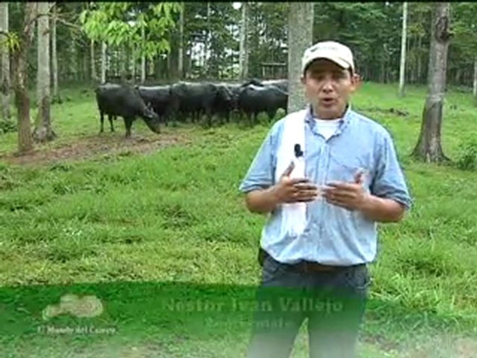 1_BUFALOS BARRANCABERMEJA Diciembre 28 de 2011