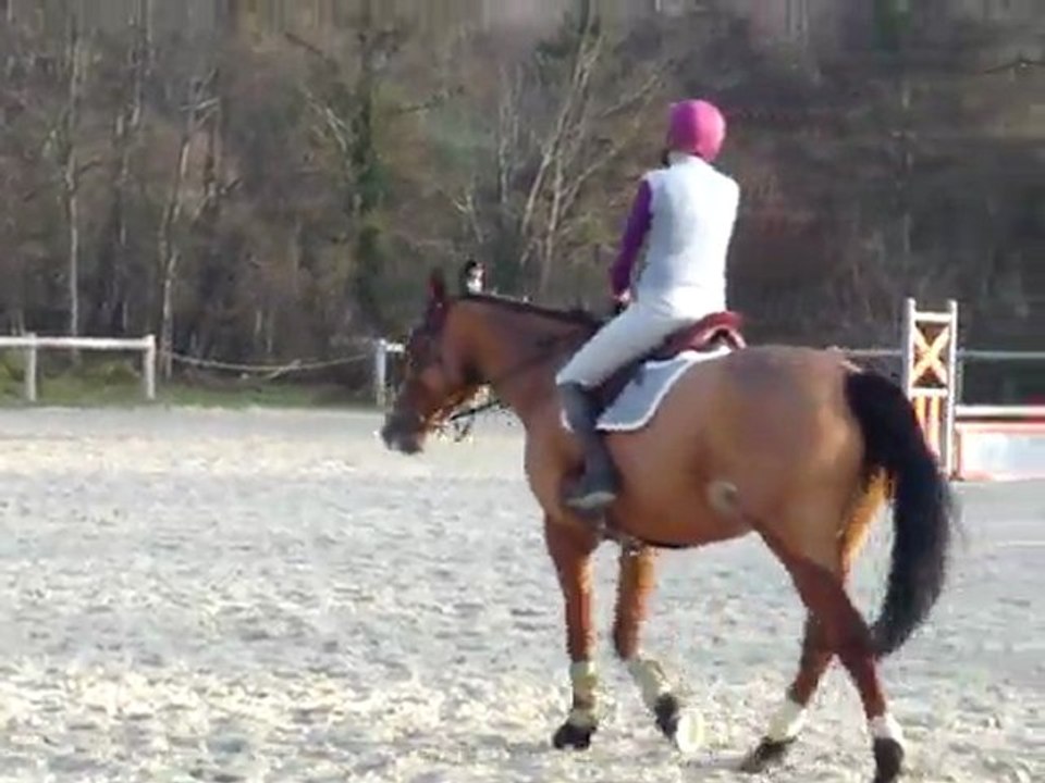 cours 26112011