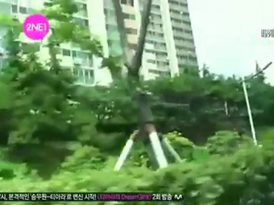 【中字】101116 2NE1 @ TV Season2 Ep10 2/4
