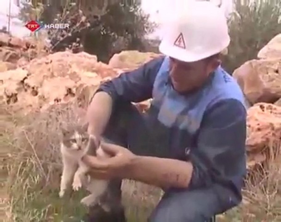 Comment ne pas sauver un chat ?