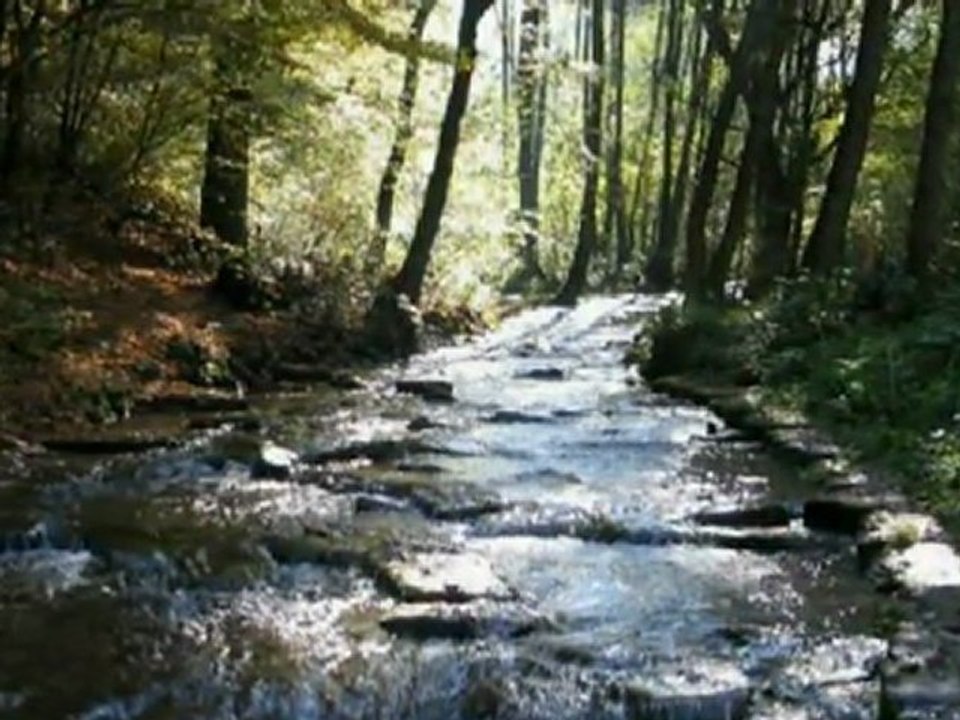 Nena - Made in Germany