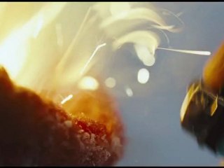 Le Territoire Des Loups: BA VF