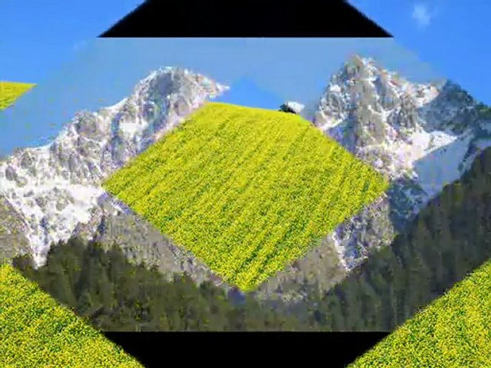 Emin Güllüce- İğne Attım Tarlaya