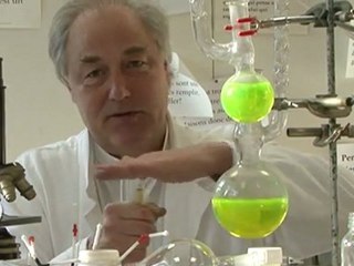 Peut-on saler une viande à cœur ? Vrai-Faux