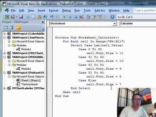 Learn Excel 2010 – “Wrap Cells and Resize" #1472