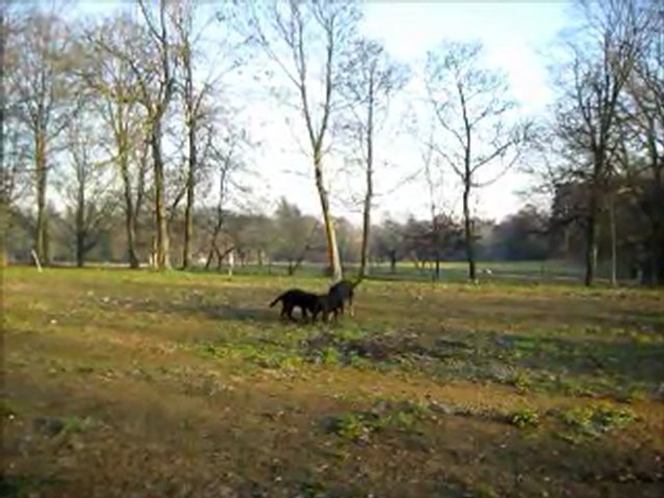 bb 28 dec 2011