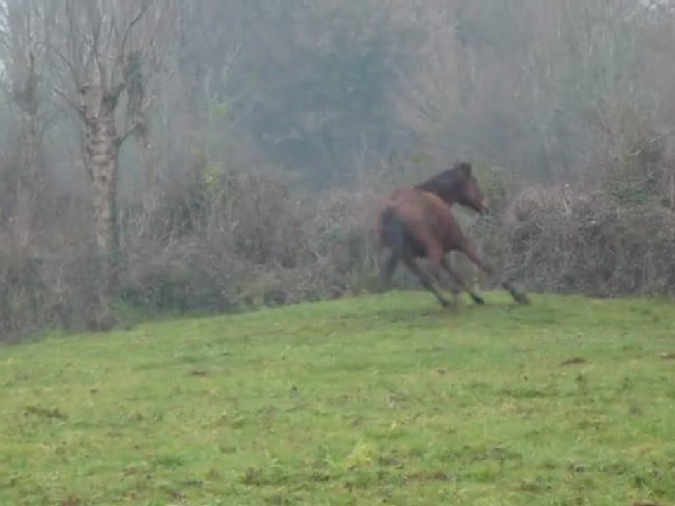 La voir comme m'en donne pleins les yeux