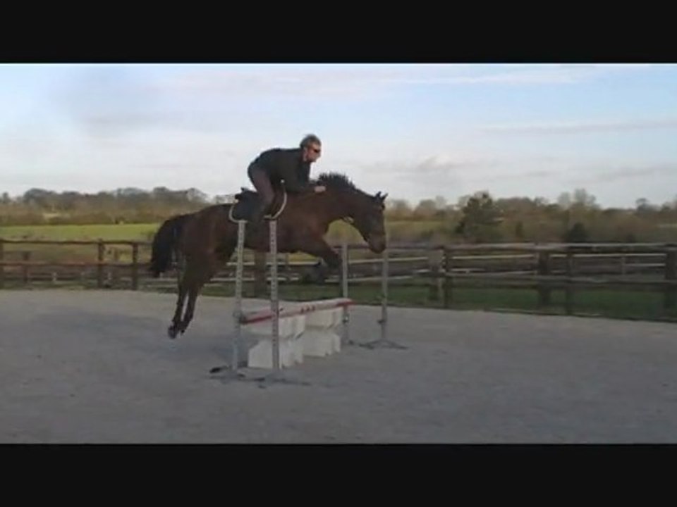 fille de Tinka's boy a vendre