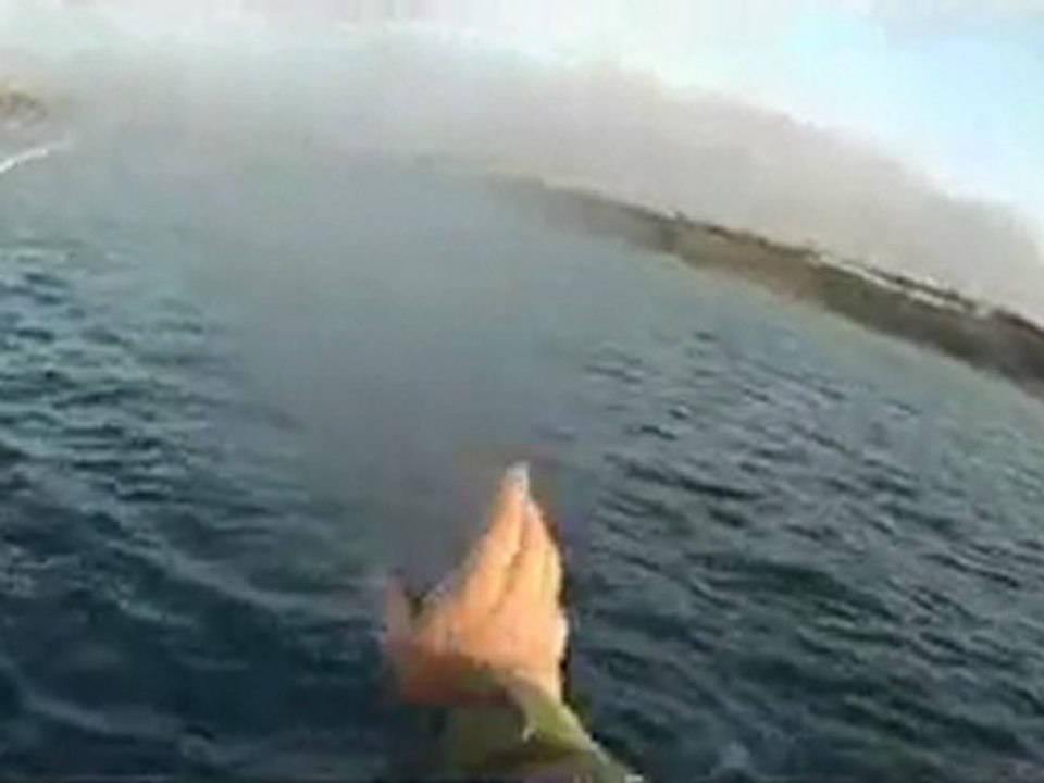 AT-ÇEK&SIRTI AVIM(BONİTO)