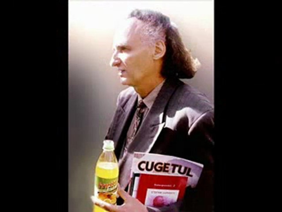 Ion & Doina Aldea-Teodorovici - Pentru ea