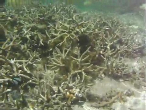 un petit echantillon des vacances de stephane et les miennes par la meme occasion malgré que cela fait 5 mois que je suis en vacances !