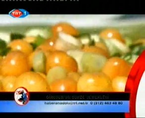 Haber Anadolu - 27.06.2009