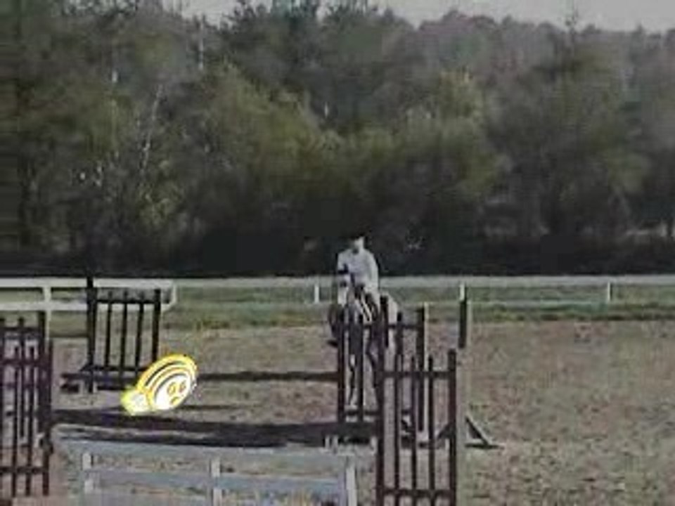 saut 1