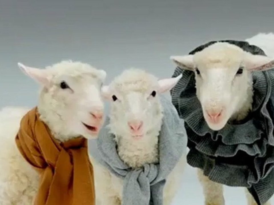 Pub Brooks Brothers - Les brebis chantent Noël