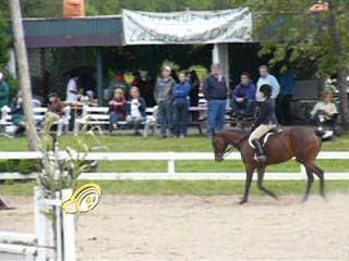 trot assis