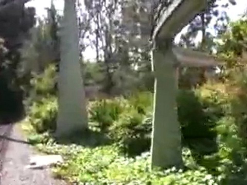 The Disneyland Railroad