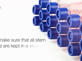 Cancer Patients Can Greatly Benefit From Stem Cell Transplant