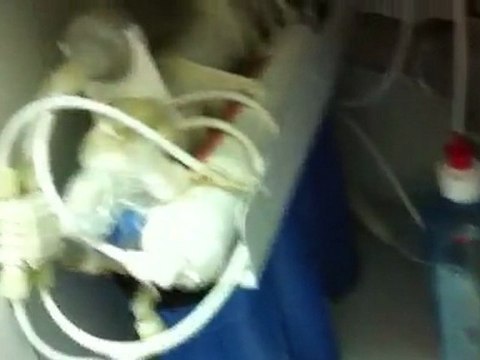 water filter Reverse Osmosis