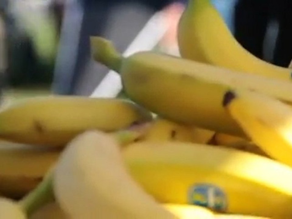 The Best Sporting Facilities in the Southeast are in Gulf Shores and Orange Beach