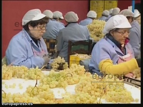 Los españoles disfrutarán de las mejores uvas