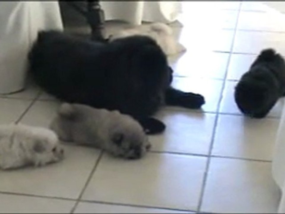 Bébés d' Elysée à 1 mois