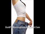 fat burning furnace scam