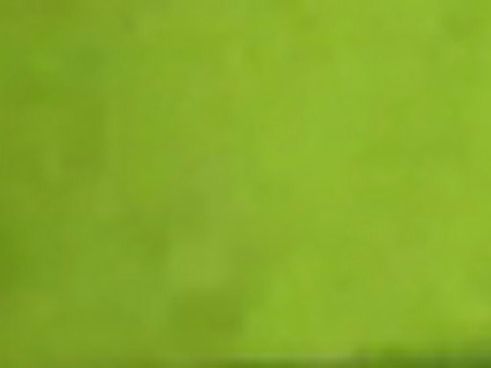 Teaser