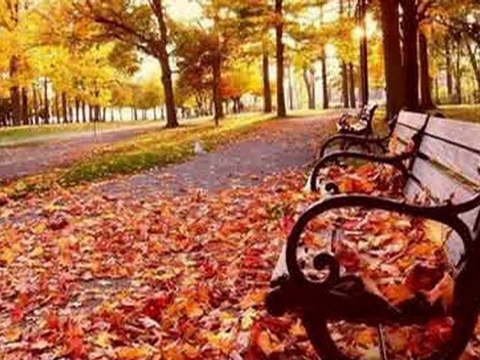 ÇALDIĞIN YILLARIMI GERİ VER.......DURAK YİĞİT-show0