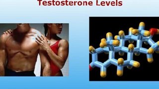 Testosterone is the male reproductive hormone.