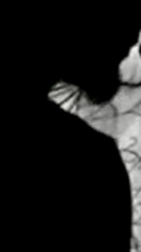 Pierrick Naud, le lieu unique, nantes, 2006