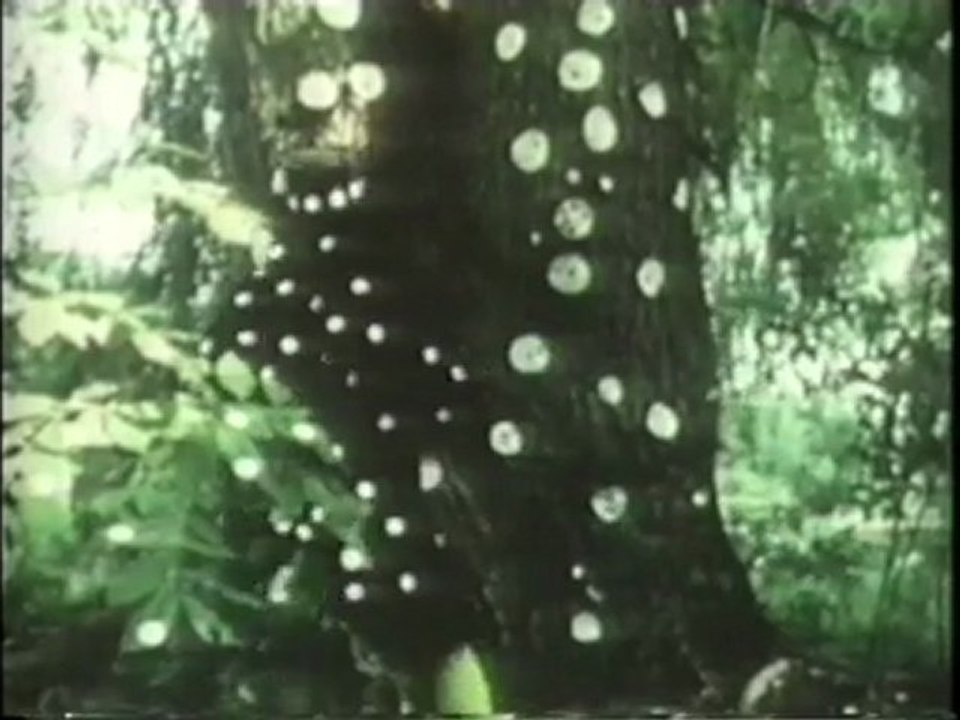 A propos de l'exposition Yayoi Kusama
